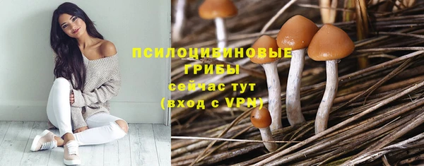 прущий лед Балахна