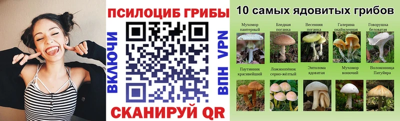 продажа наркотиков  Среднеуральск  Галлюциногенные грибы Magic Shrooms 